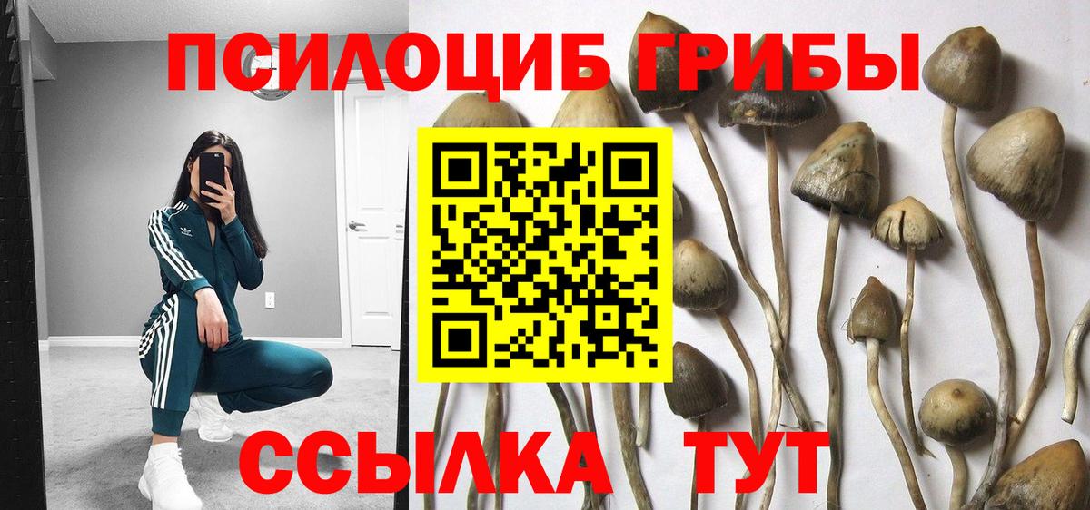Псилоцибиновые грибы Psilocybe  Галлюциногенные грибы MAGIC MUSHROOMS  Нововоронеж  Вход с VPN 